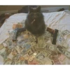 Money Money Money by NJ 7