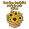 Flores Amarillas 2🌻💛 5