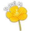 Flores Amarillas 2🌻💛 7