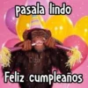 🎊 Feliz Cumpleaños 🎊 9