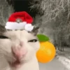 🎄🐱 Navidad Gatos 🐱 🎄 8