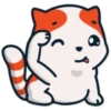 Marsey the cat 5