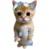 Gatito (Parte 1) 5