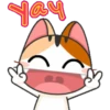 gojill meow 12