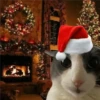 🎄🐱 Navidad Gatos 🐱 🎄 11