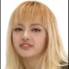 Lisa meme 12