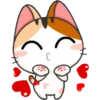 gojill meow 14