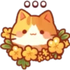 Gatito flor amarilla 2🐱🌻 11