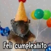🎊 Feliz Cumpleaños 🎊 11
