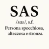 SAS /sas/, s.f. Persona spocchiosa, altezzosa e stronza.