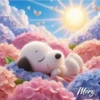 Snoopy ✺6🇻🇪 14