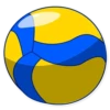 George Volleyball 13