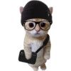 Gatito (Parte 1) 6