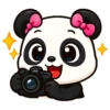 PANDITA 8