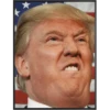 Trump Stickers 9