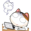 gojill meow 17
