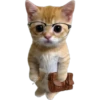 Gatito (Parte 1) 10
