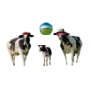 Sütaş 50. Yıl GIF ve Sticker Paketi 8