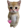 Gatito (Parte 1) 11