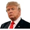Trump Stickers 10