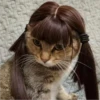CAT WORLD 2 13