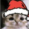 🎄🐱 Navidad Gatos 🐱 🎄 18