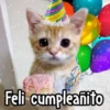 🎊 Feliz Cumpleaños 🎊 14