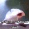 ambilajalah 7