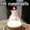🎊 Feliz Cumpleaños 🎊 15