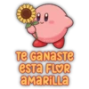 Flores Amarillas 2🌻💛 17