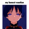 random genshin stickers 17