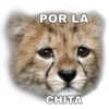 Respaldo 2 14