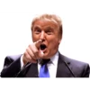 Trump Stickers 12