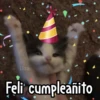 🎊 Feliz Cumpleaños 🎊 16