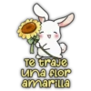 Flores Amarillas 2🌻💛 19