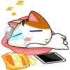 gojill meow 20
