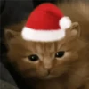 🎄🐱 Navidad Gatos 🐱 🎄 20