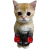 Gatito (Parte 1) 14