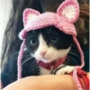 CAT WORLD 2 17