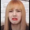 Lisa meme 21