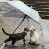 CAT WORLD 2 18