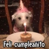 🎊 Feliz Cumpleaños 🎊 17