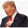 Trump Stickers 15