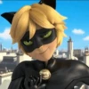 Miraculous Ladybug 17