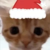 🎄🐱 Navidad Gatos 🐱 🎄 22