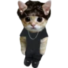 Gatito (Parte 1) 17