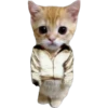 Gatito (Parte 1) 18