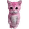 Gatito (Parte 1) 19