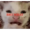 Sus Reactions 5