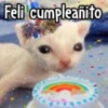 🎊 Feliz Cumpleaños 🎊 21